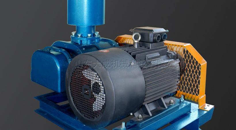 DSR125羅茨風機