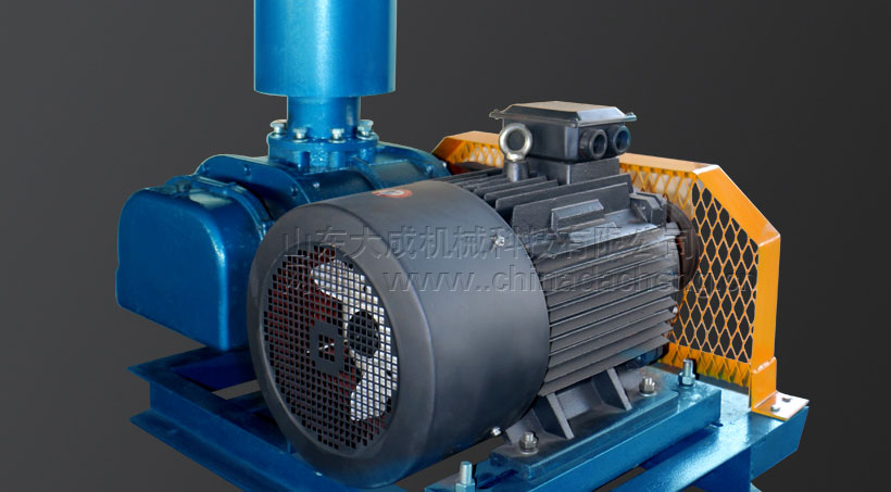 DSR100羅茨風機